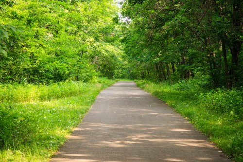 Trail in Wild River State Park